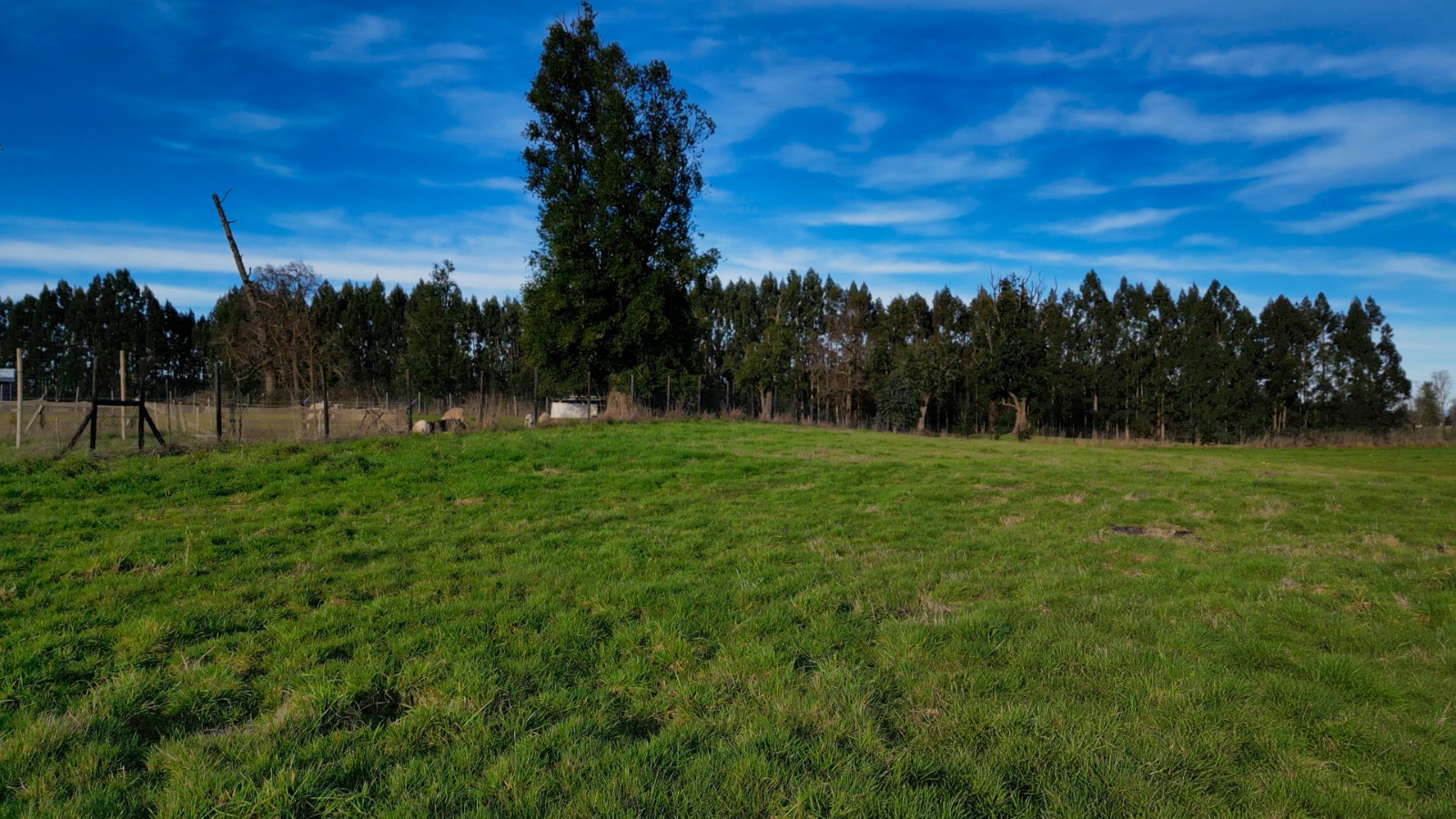 WhatsApp Image 2026-08-17 at 18.17.24 (1)
